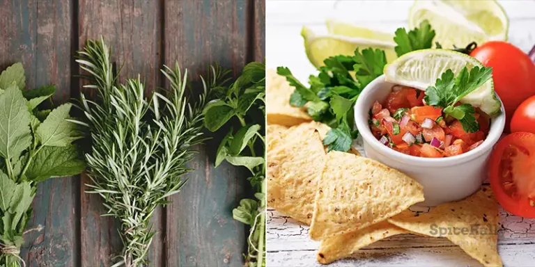 A Complete Guide To Essential Mexican Herbs That Take Their Dishes To The Next Level!