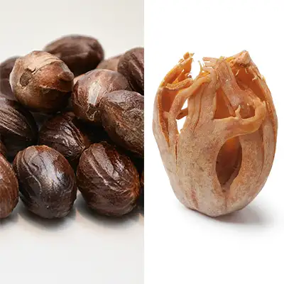 Nutmeg and Mace - SpiceRally