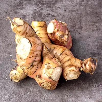 Galangal - SpiceRally