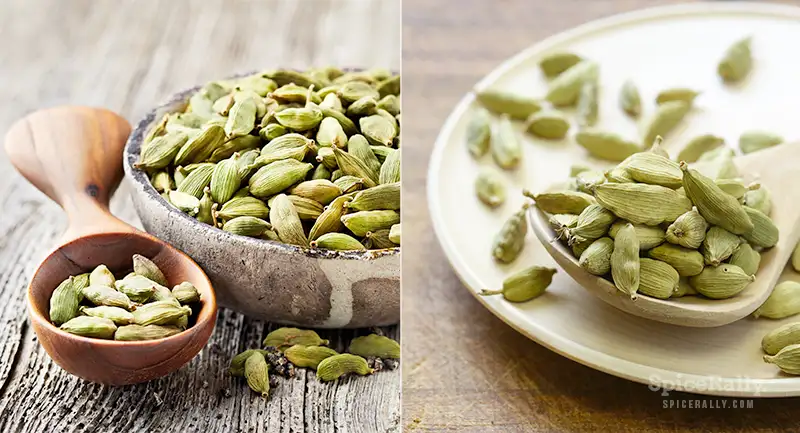 Cardamom - SpiceRally