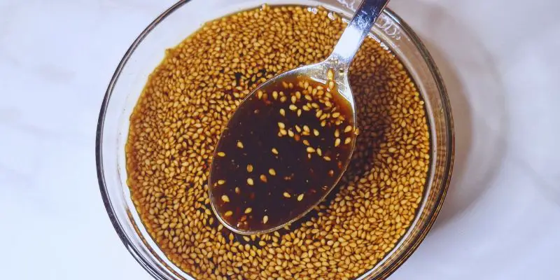 Homemade Dark Katsu Sauce Recipe