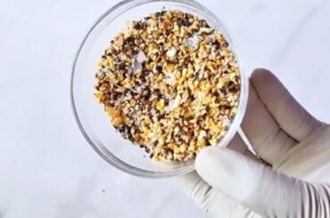 Homemade Everything Bagel Seasoning Recipe