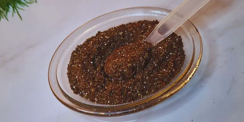 Zesty Brazilian Coffee and Cocoa Rub Recipe